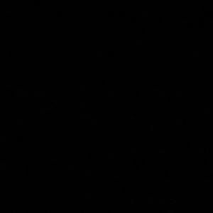 Meet your Posher, Lilly